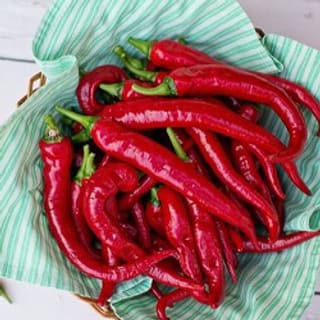 Vörös paprika kivonat